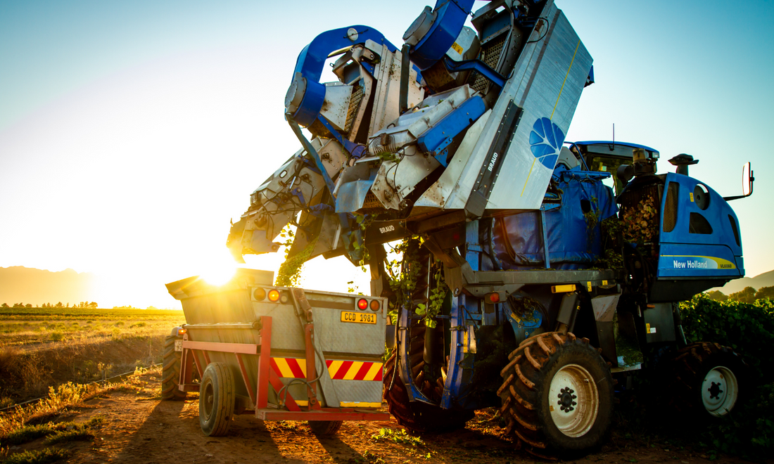 Harvest 2023: When small holds a big promise